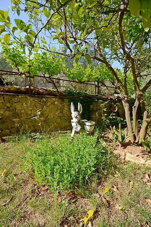 Apartment Steli Slatine Croatia